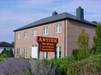 Antiek de Wilde