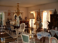 Curiosa Gallery